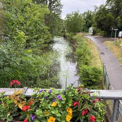 Pretty canal with lily pads