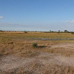 Wasserloch mit wenig Wasser