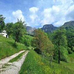 Hier müssen wir leider umkehren