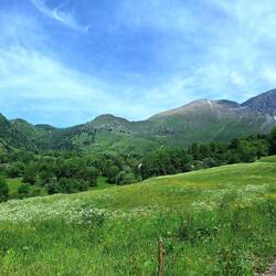 Blick auf die Alm in der Ferne