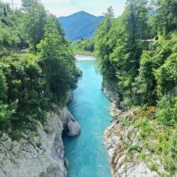 Toller Blick auf den Fluss