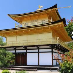 Kinkaku-ji 金閣寺 Goldener Tempel