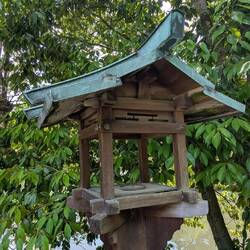 Vogelhüsli auf Japanisch 😂