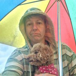 Not impressed with getting wet