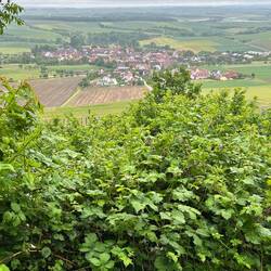 Blick auf Bullenheim