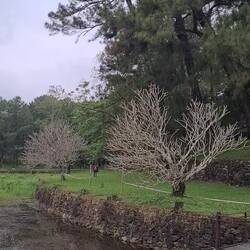 Grabesberg - 17m darunter das Grab