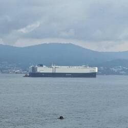 I Googled the name of this ship, and learned that it is a ship that transports cars