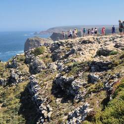 Auf der Jagd nach dem tollsten Foto
