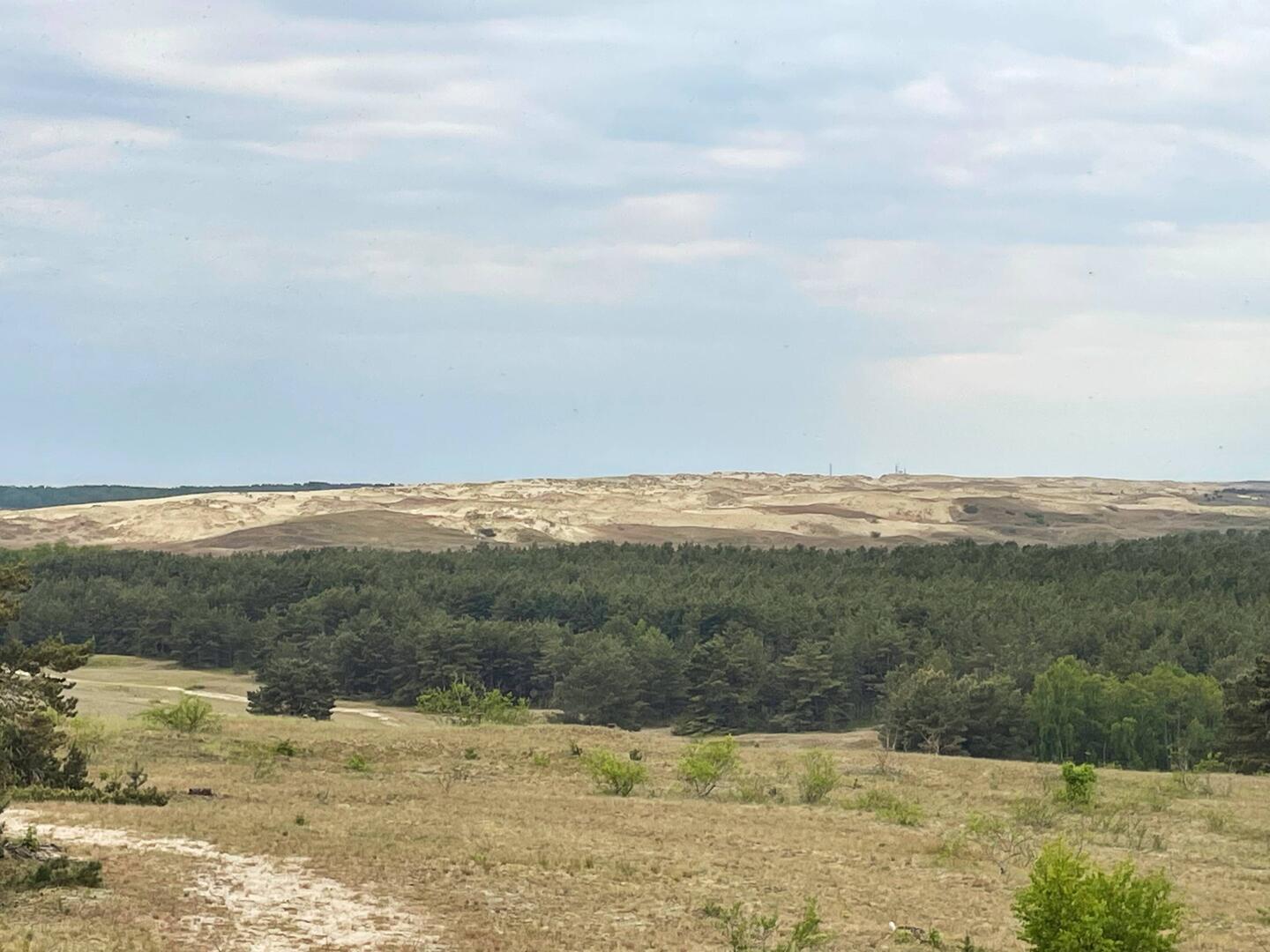 Die Grenze zu Russland am Horizont