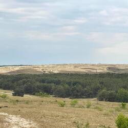 Die Grenze zu Russland am Horizont