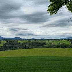 Blick auf die Alpen (Hochfelln und Hochgern rechts)