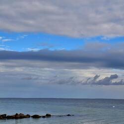 Die weißen Punkte sind Schwäne