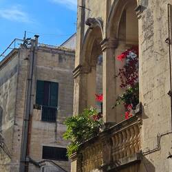 Red geraniums & golden stone ♥️