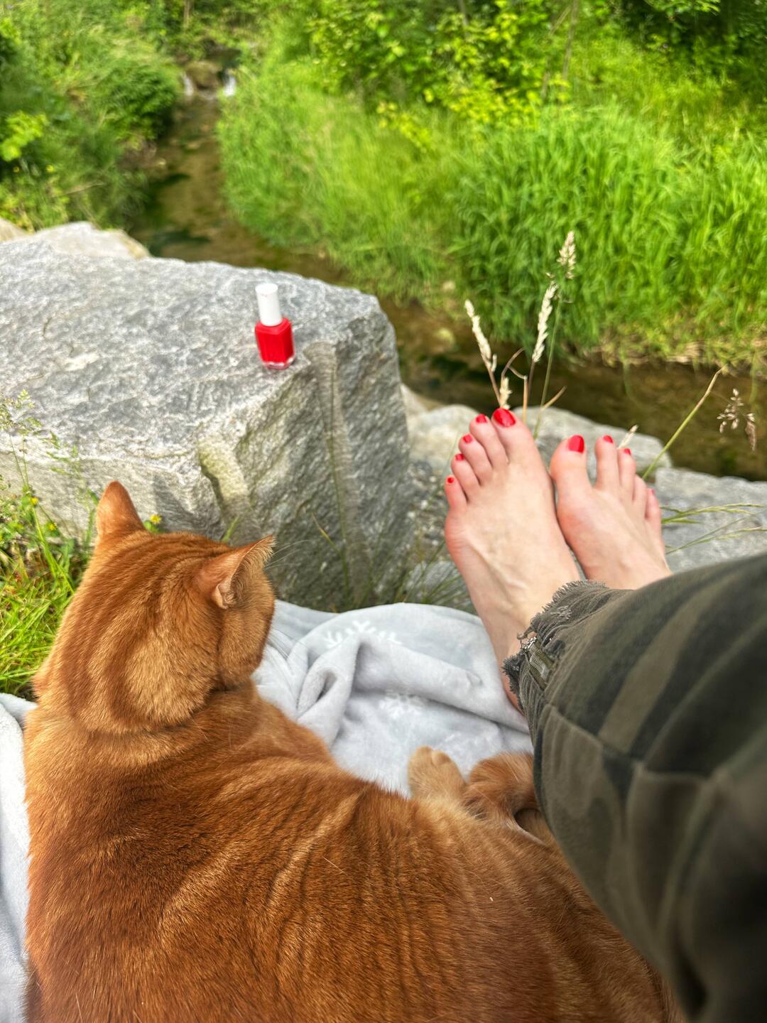 Good bye Spaziergang mit Nägeli lackieren