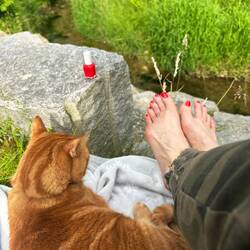Good bye Spaziergang mit Nägeli lackieren