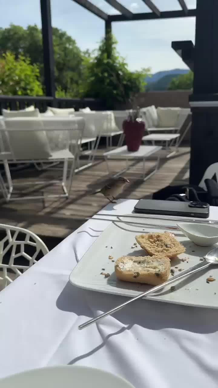 Der freche Fynn kommt uns immer beim Frühstück besuchen