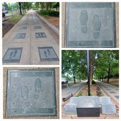 Walk of Fame (Harry Belafonte, Sammy Davies Jr.) ...