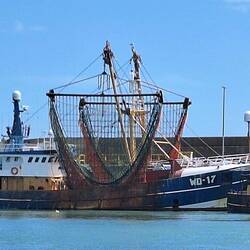 Having watched David Attenboroughs Oceans we were horrified to see a bottom feeder in the quay
