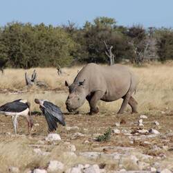 ...um Wilderei zu vermeiden
