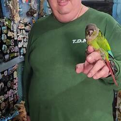 Juan and Pupy. A very sweet love affair they have.💕