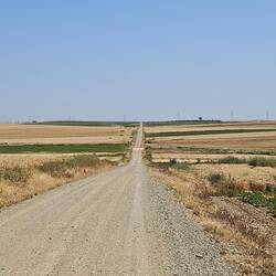 ein paar Bäume wären schon auch mal fein...