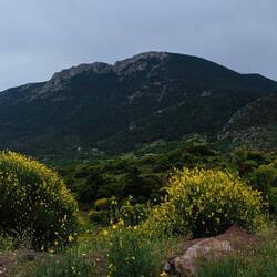 Trotz Regens einfach klasse hier