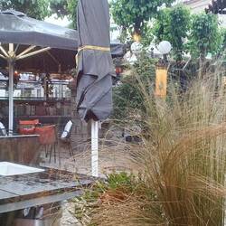 Wolkenbruchartiger Schauer ⛈️⛈️