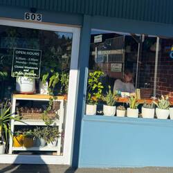 My kind of place. I miss my plants... 🌱