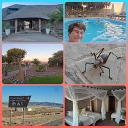 1. Quartier Elegant Desert Lodge