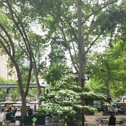 Bryant Park