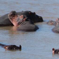 This was so funny...