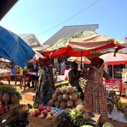 Obst soweit das Auge reicht! Gesünder geht' nimmer!