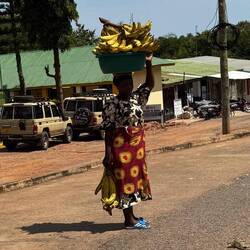Wie immer, farblich ein Knaller. Oben Gelb. Unten Gelb.