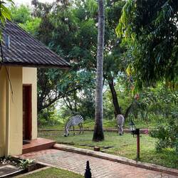 ...diese "Rasenmäher" brauchen weder Wartung noch Sprit.. Perfekter Rasen garantiert.