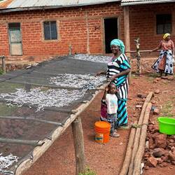 Das sind Sardinen aus dem Tanganjikasee.