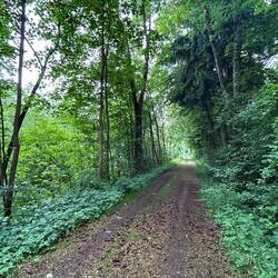 Heutiger Schotterweg für 20 km