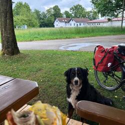 Leistete mir Gesellschaft, damit ich nicht allein essen muss :)