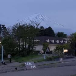 Un festival de vin et bossa nova en bonus