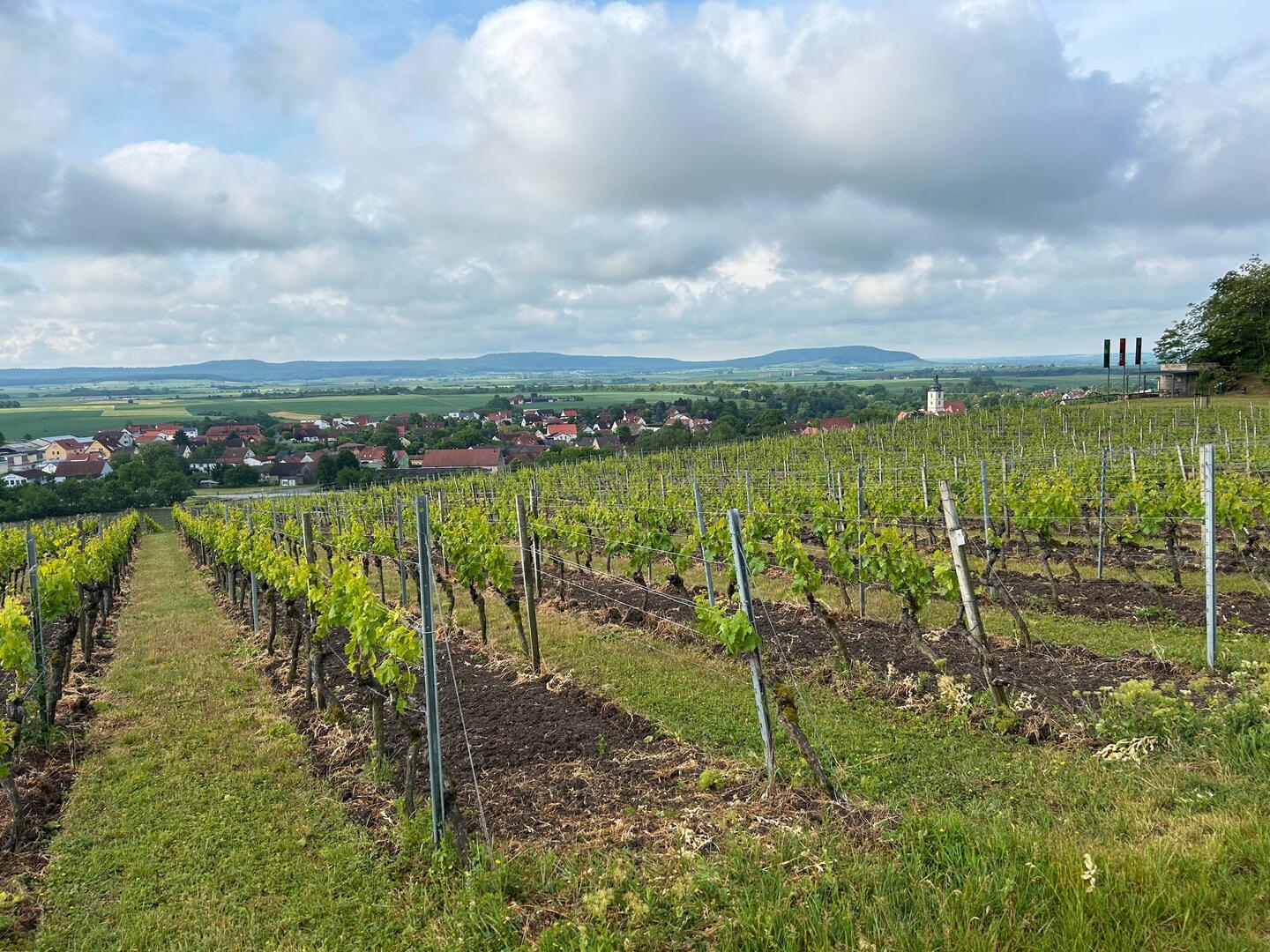 Blick auf Markt Einersheim