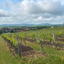 Blick auf Markt Einersheim