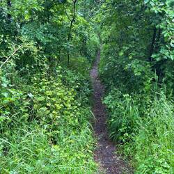 Singletrail