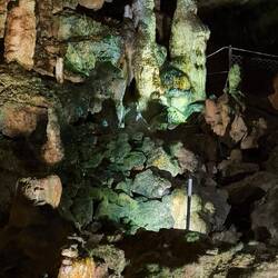 Hier im Steingewächshaus ist ein Tier versteckt 😉