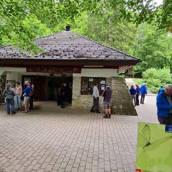 Eingang zur Nebelhöhle. (7.- Euro / Erw. Stand 29.05.25)