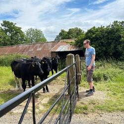 Cows don't want to let us through!