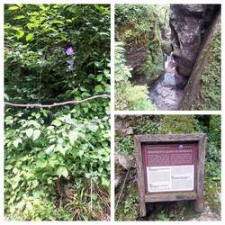 Der Bärenkopf (oben rechts) ist sehr spektakulär