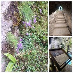 Hängende Glockenblumen, steiler Aufstieg zum Blick auf die Thermalquelle