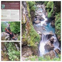 Tolle Pflanzenwelt, unten links eine kriechende Rose