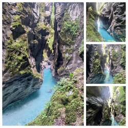 Mit viel Glück sieht man Marmorataforellen im Fluss