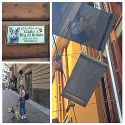 La via degli specchi appesi