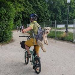 Oltre ai vari monumenti, Milù era il più fotografato dai turisti 😃